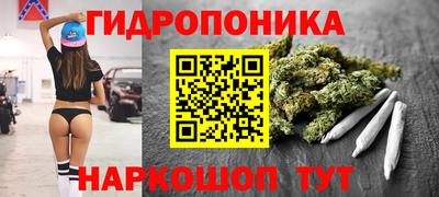 тгк Долгопрудный