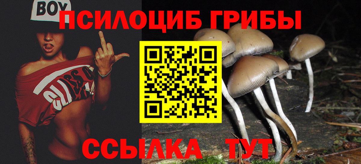 Псилоцибиновые грибы Psilocybe Приморско-Ахтарск