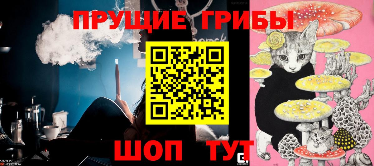 Приморско-Ахтарск  Галлюциногенные грибы MAGIC MUSHROOMS  Галлюциногенные грибы Psilocybine cubensis  Вход с VPN 